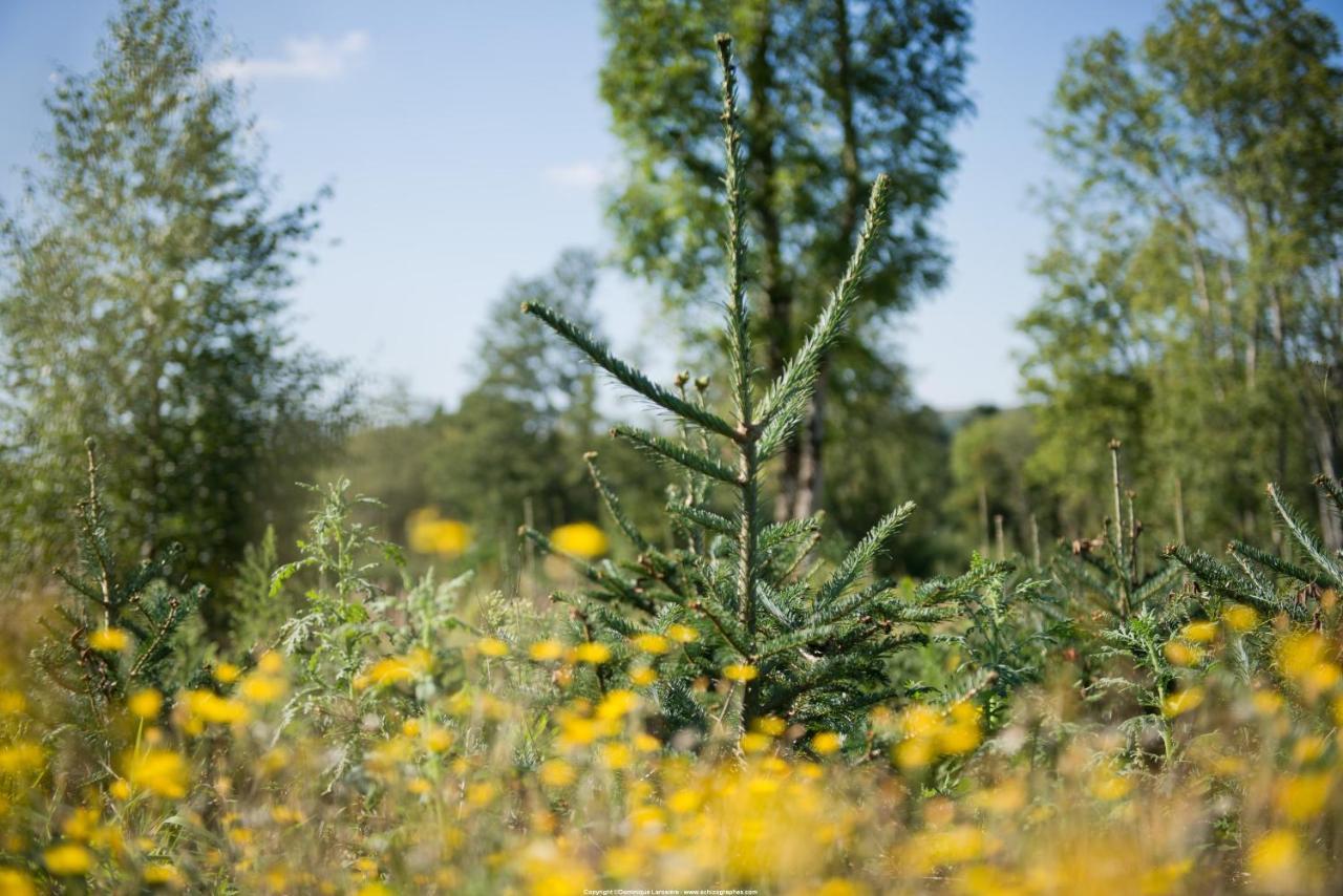 Le Relais Des Lacs Bourgogne Morvan Ξενοδοχείο Planchez Εξωτερικό φωτογραφία