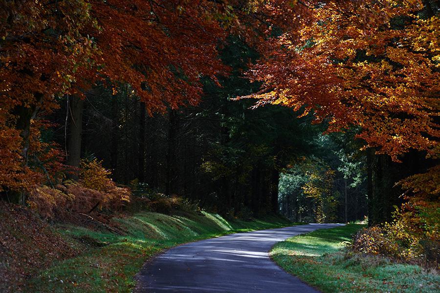 Le Relais Des Lacs Bourgogne Morvan Ξενοδοχείο Planchez Εξωτερικό φωτογραφία